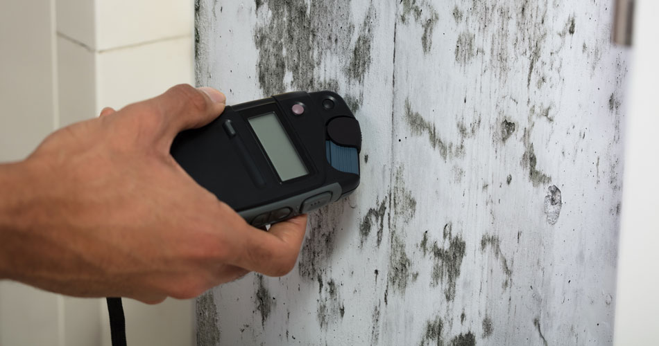 Moisture Home Inspection Services